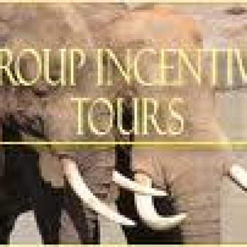 Group incentive tours